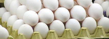 Eggs
