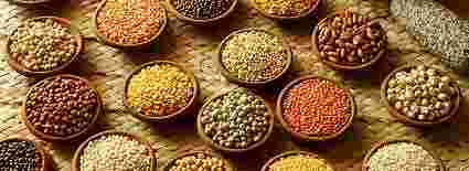 Dal & Pulses