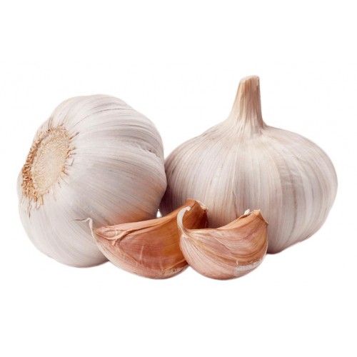 GARLIC - RASUN