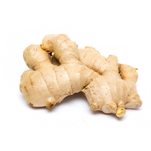GINGER ADA ADRAK