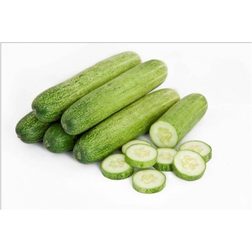 FRESH CUCUMBER - SOSA