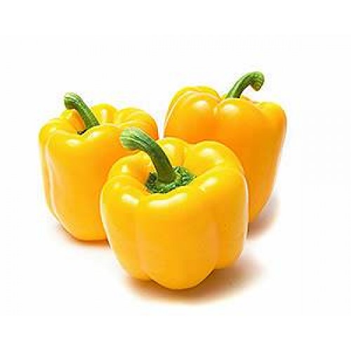 CAPSICUM YELLOW (BELL PEPPER)