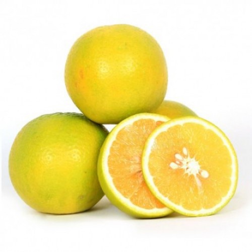 SWEET LIME - MOSAMBI