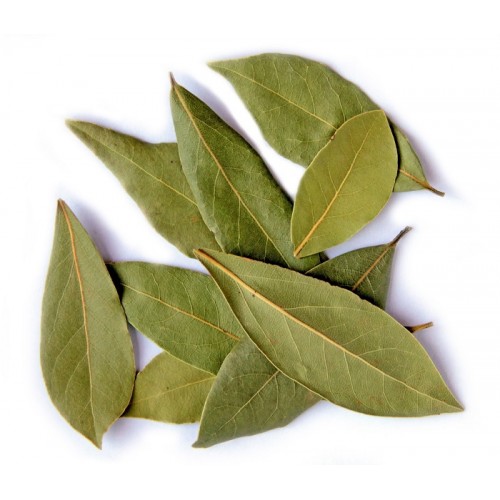 TEJ PATA - BAY LEAF BEST QUALITY