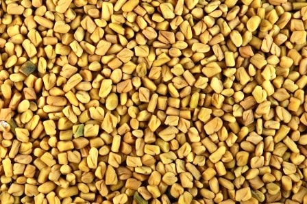 METHI FENUGREEK SEEDS - BEST QUALITY