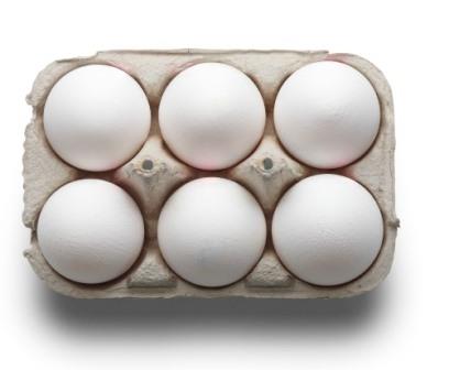 POULTRY EGGS