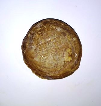 CHAKULIA BATI SABAN - DETERGENT SOAP