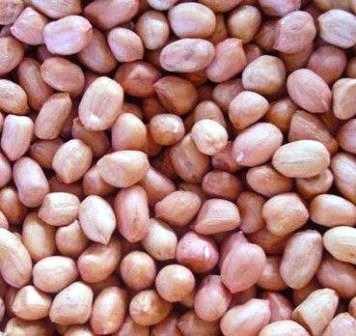 WHITE RAW PEANUTS - KACHA BADAM - MUMFALI
