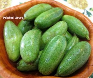 POINTED GOURD - PATAL