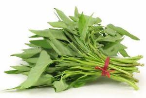 WATER SPINACH - KALMI SAAG SAG / SHAAK SHAK