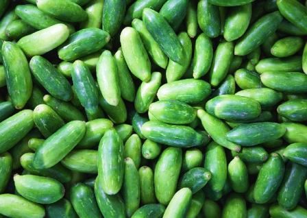 IVY GOURD KUNDRU (KUNDRI)